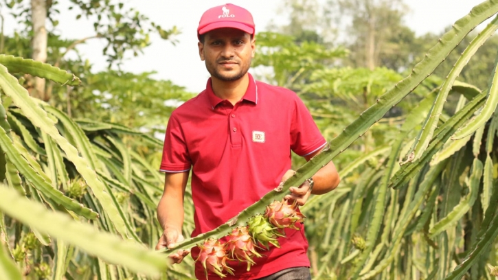 কৃষিতে স্বপ্ন পূরণ হিমেলের