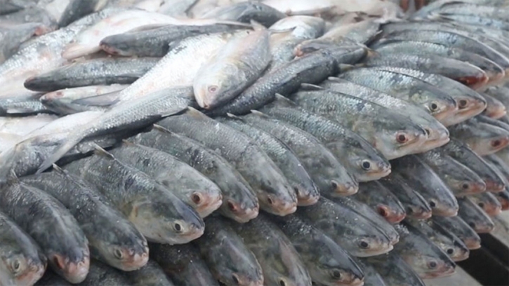 How much Indian consumers spend to buy hilsa?