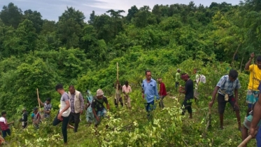 সাবেক মন্ত্রীর দখলে থাকা পাঁচ একর জমি উদ্ধার