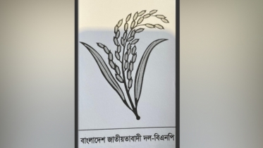 কৌশলে ‘ধানের শীষ’ প্রচারণায় বিএনপি