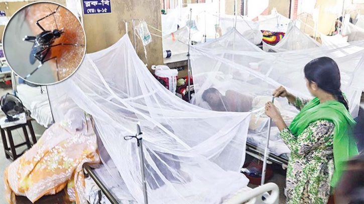 5 more die of dengue, 927 hospitalised in 24hrs