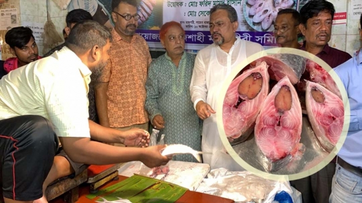 Rising hilsa prices force Rajshahi to sell in slices