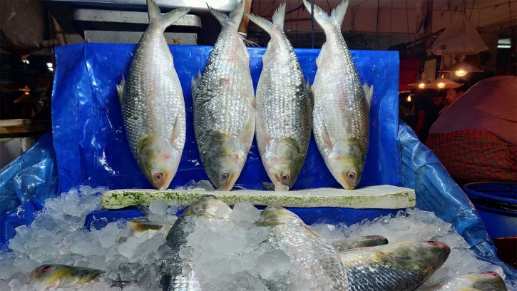 Commerce ministry permitted hilsa export: Adviser Farida