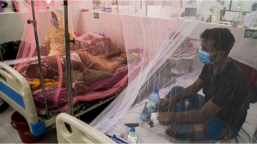 9 die of dengue, 915 hospitalized in 24hrs