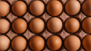 NBR cuts import duty on eggs