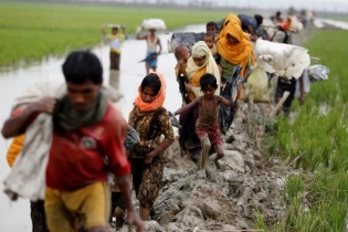 500 more Rohingyas flee to Bangladesh  