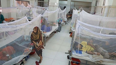 Dengue: 3 more die, 583 hospitalised in 24hrs