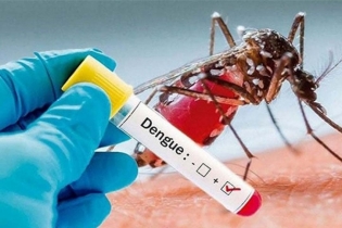 Dengue: One more death reported in 24hrs