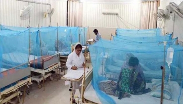 Dengue: 8 more die; 1100 hospitalised in 24hrs