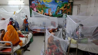 Dengue claims 1 life, 477 hospitalised