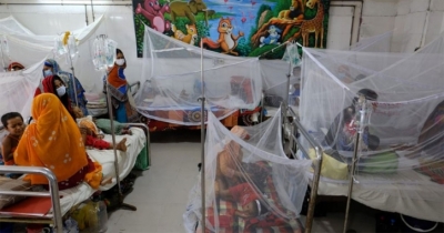 Dengue: 3 more die, 887 hospitalised in 24hrs