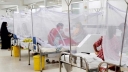 Dengue: 7 more die; 1139 hospitalised in 24hrs