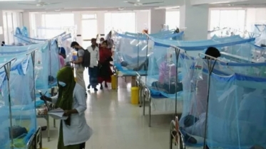 Two die of dengue, 961 hospitalized in 24hrs