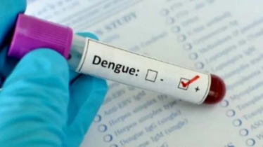 Lack of attention fueled rising dengue deaths recently: DGHS