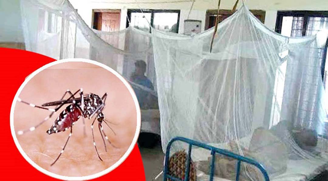 4 more die of dengue, 1225 hospitalised in 24hrs