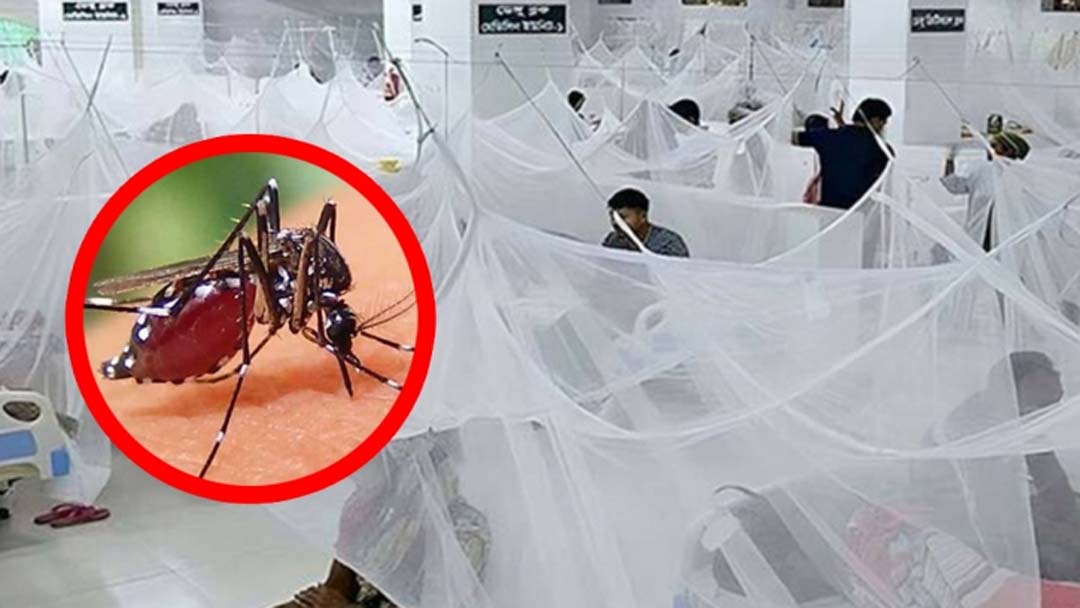 Dengue: 3 die, 411 hospitalised