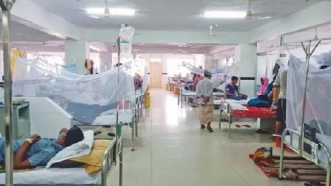 One dengue patient dies, 264 hospitalised