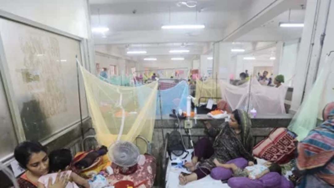 Dengue: 5 more die; 981 hospitalised in 24hrs