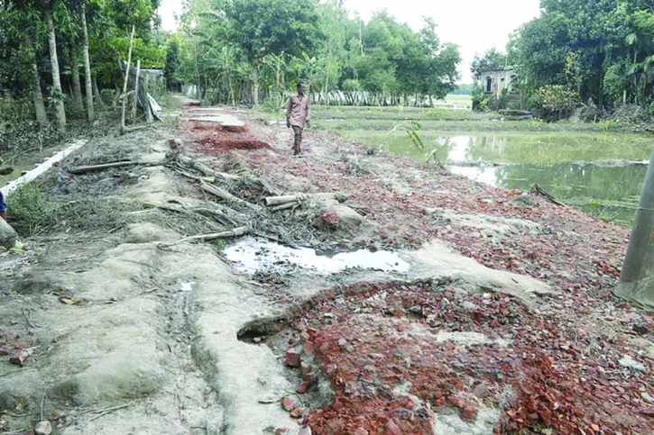 Streets in different unions under Fulgazi in Feni have been severely damaged due to the recent flood