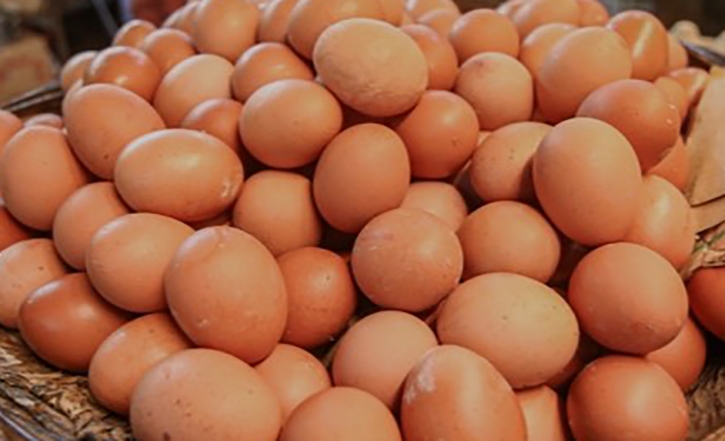 Govt permits 40.5m eggs import to stabilise prices